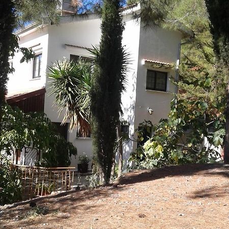 Kampi Double Storey House In The Village نيقوسيا المظهر الخارجي الصورة