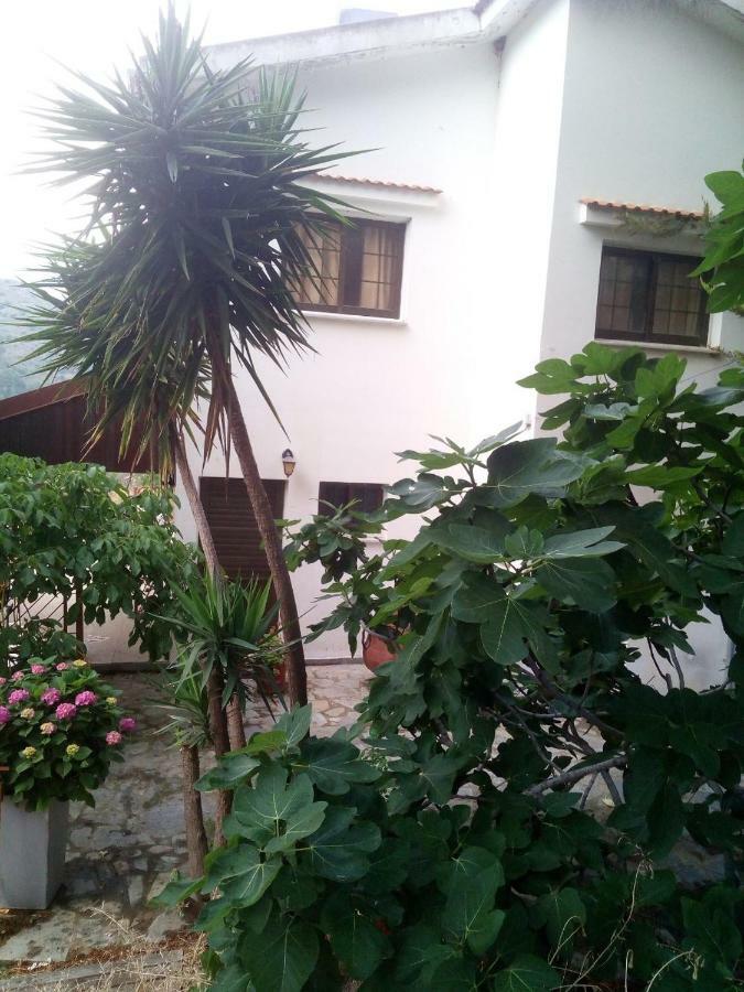 Kampi Double Storey House In The Village نيقوسيا المظهر الخارجي الصورة